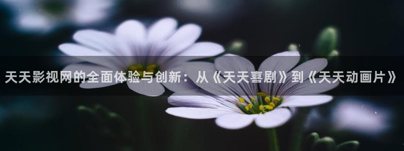 木瓜影院在線播放：天天影視網的全面體驗與創新：從《天天喜劇》到《天天動畫片》