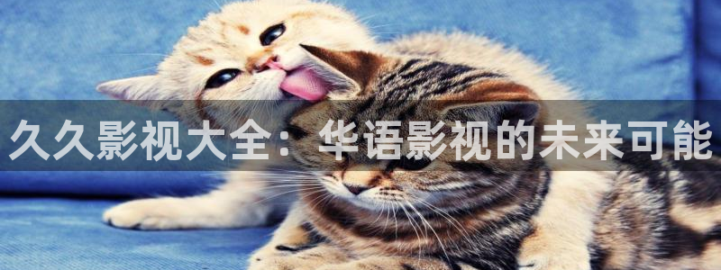 美國木瓜：久久影視大全：華語影視的未來可能
