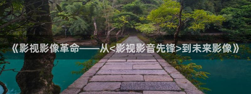 木瓜私人影院：《影視影像革命——從<影視影音先鋒>到未來影像》