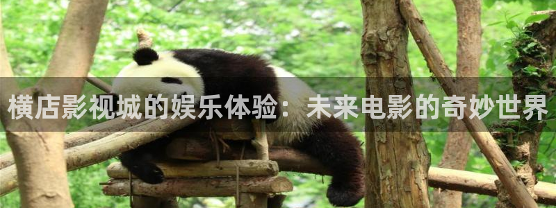 木瓜影院www：橫店影視城的娛樂體驗(yàn)：未來電影的奇妙世界
